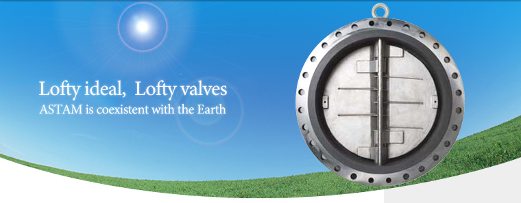 Lofty ideal,  Lofty valves ASTAM is coexistent with the Earth